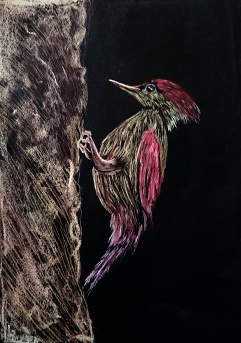 0082 Nika Skendrovic Crtanje I Slikanje