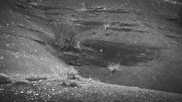 0150   Geert Wachtelaer